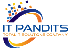 IT Pandits logo
