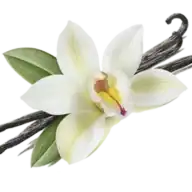 Jogue Inc logo