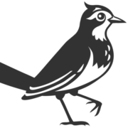 Local House International logo