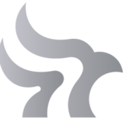 Loigica, P.A. logo