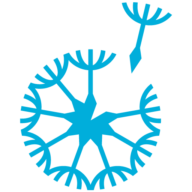Fort Effect logo
