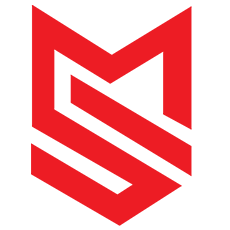 Maddisoft LLC logo