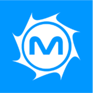 Metrostar Systems, Inc. logo