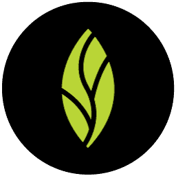 MINT dentistry logo