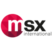 MSX International RNS LLC logo