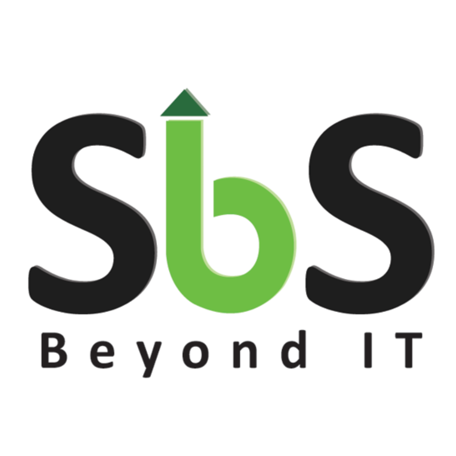 Sai Business Solutions LLC logo