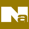 Naik Consulting Group, P.C. logo