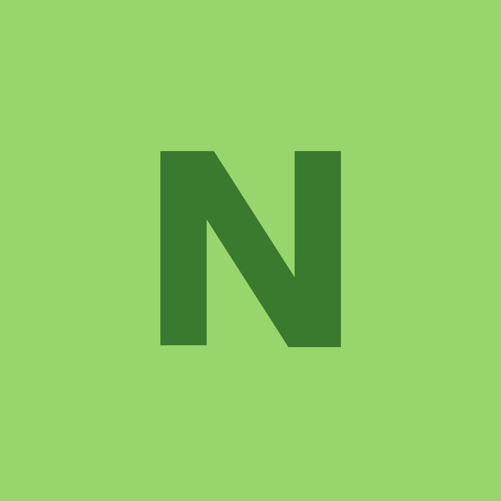 Naiva Solutions logo