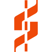 NetImpact Strategies logo