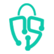 Netsec Professionals Corporation logo