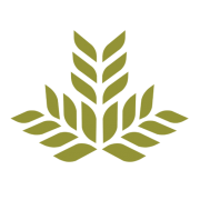 Northeast Georgia Health System logo