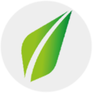 Nitron Group logo