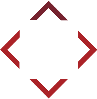 PAC Project Advisors International logo