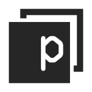 Panaseer logo