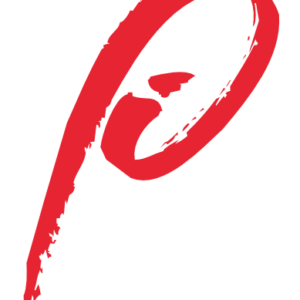 Paramount Software Solutions logo