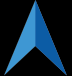 Platinum Infosys Inc logo