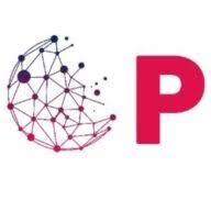 Praise Consulting LLC logo