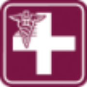 Prime Healthcare logo