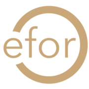 Project Delivery Partners logo