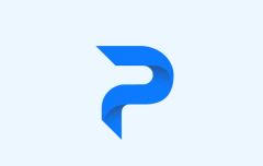 Pundit logo