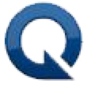 Qualex Consulting Services, Inc. logo