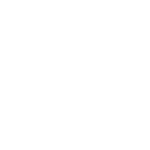 Quantum Integrators Group LLC logo