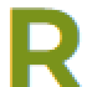 Regal IT Services Inc logo