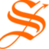 Saggi Solutions Inc logo