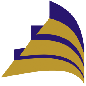 SDR Engineering logo