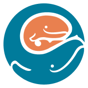 Seattle Children's Hospital logo