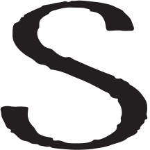 Sejong LLP logo