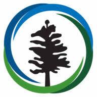 Sustainable Investment Group logo