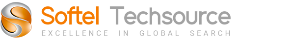 Softel Techsource logo