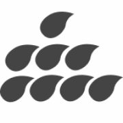 Splash Business Intelligence logo