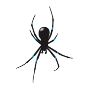 Spyder Technologies of Va logo