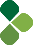 Srk Systems Inc logo