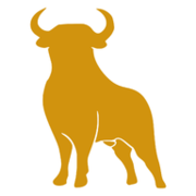 Stier Solutions Inc logo