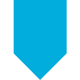 Storagecraft Technology Corporation logo
