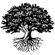 National Student Clearinghouse logo