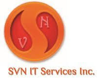 SVN IT Services logo