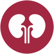 Southwest Kidney Institute, PLC logo