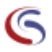 Syntelli Solutions logo