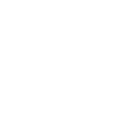 Team Design Studio logo