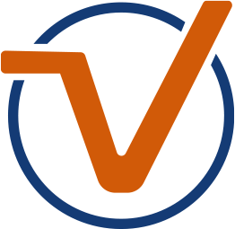 TechVirtue LLC logo