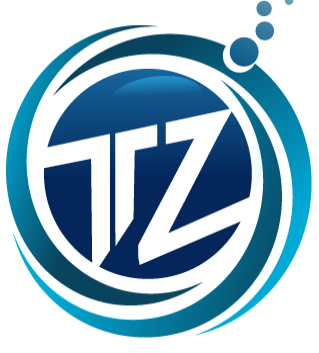 Techzion IT Solutions Inc logo