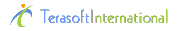 Terasoft International logo