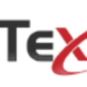 Texans IT Services, Inc. logo