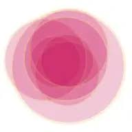 Desai Foundation logo