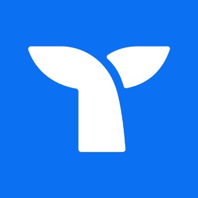 Triple Whale Inc. logo