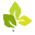 Unicon Pharma Inc logo
